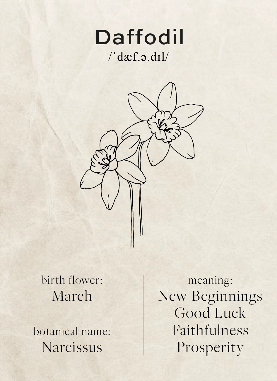 march birth flower meaning
